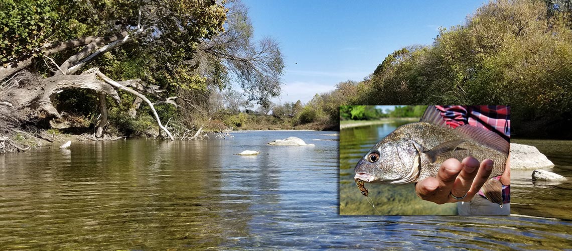 Your Sneak Preview  - Fly Fishing Austin